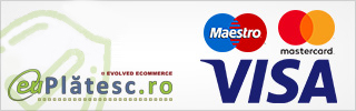 online payment